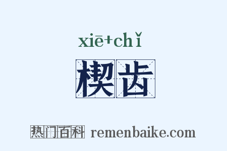 楔齿是什么意思的图片